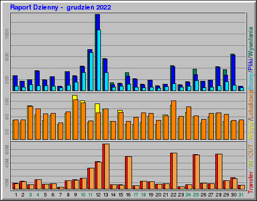 Raport Dzienny -  grudzień 2022