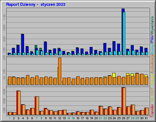 Raport Dzienny -  styczeń 2023