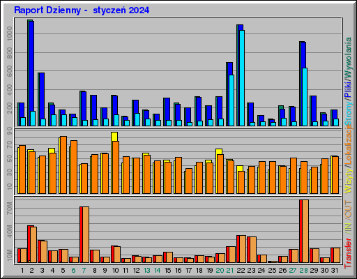 Raport Dzienny -  styczeń 2024