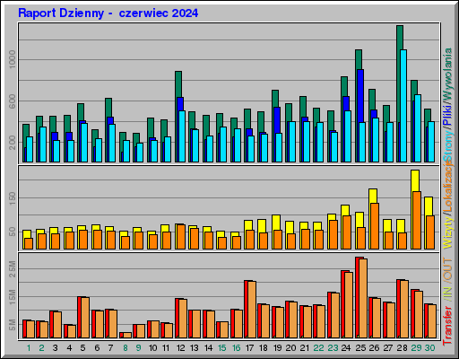 Raport Dzienny -  czerwiec 2024