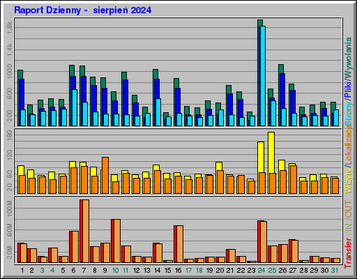 Raport Dzienny -  sierpień 2024