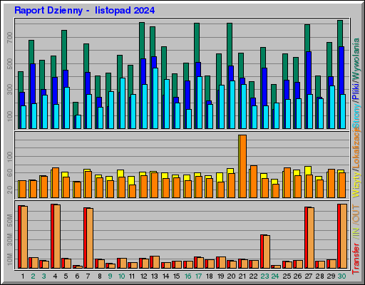 Raport Dzienny -  listopad 2024