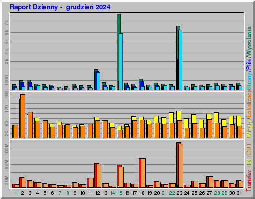 Raport Dzienny -  grudzień 2024