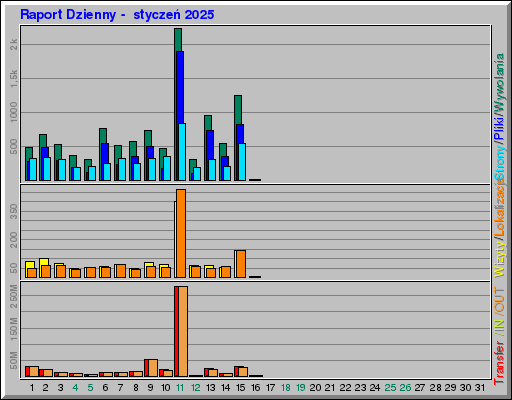Raport Dzienny -  styczeń 2025