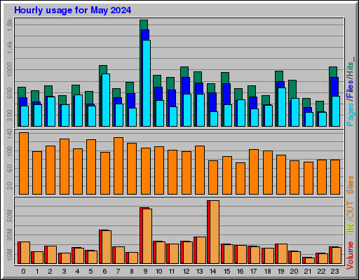 Raport Godzinowy -  Maj 2024