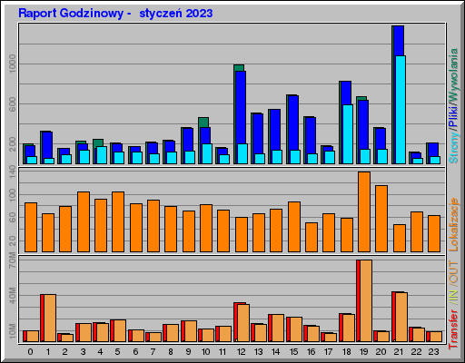 Raport Godzinowy -  styczeń 2023