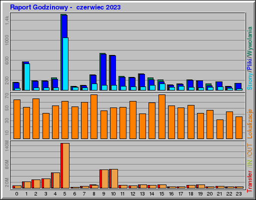 Raport Godzinowy -  czerwiec 2023