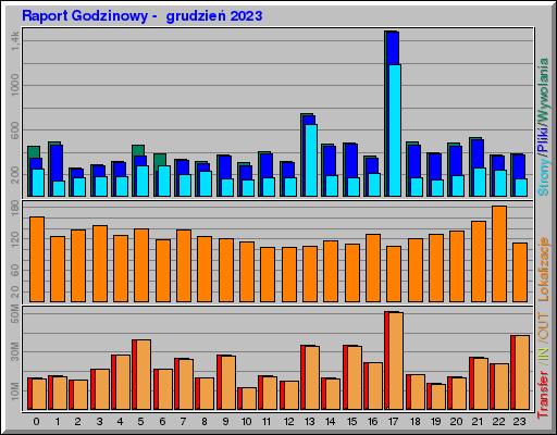 Raport Godzinowy -  grudzień 2023