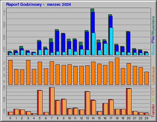 Raport Godzinowy -  marzec 2024