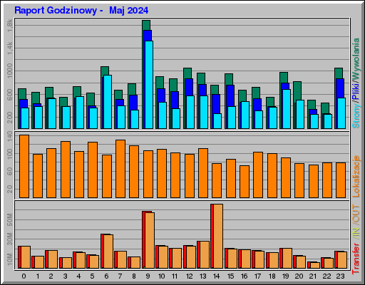 Raport Godzinowy -  Maj 2024