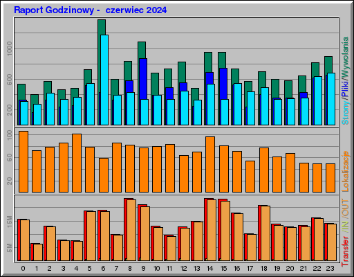 Raport Godzinowy -  czerwiec 2024