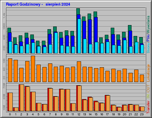 Raport Godzinowy -  sierpień 2024