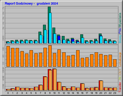 Raport Godzinowy -  grudzień 2024