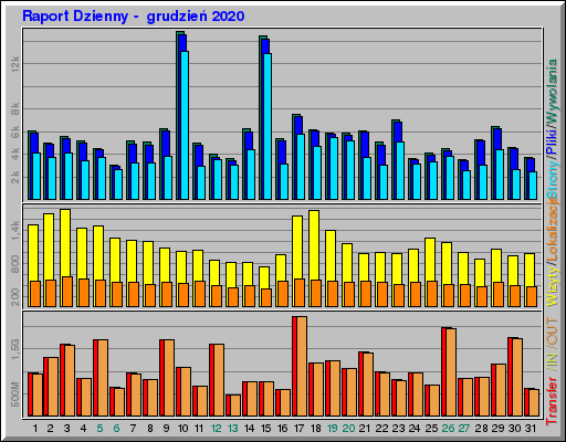 Raport Dzienny -  grudzień 2020