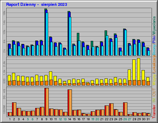 Raport Dzienny -  sierpień 2023