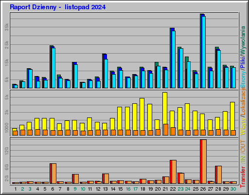 Raport Dzienny -  listopad 2024