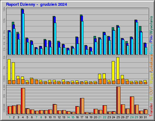 Raport Dzienny -  grudzień 2024