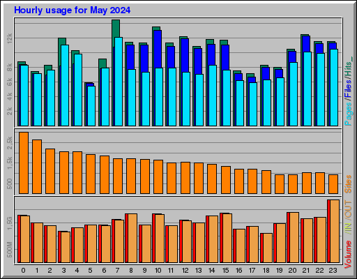 Raport Godzinowy -  Maj 2024