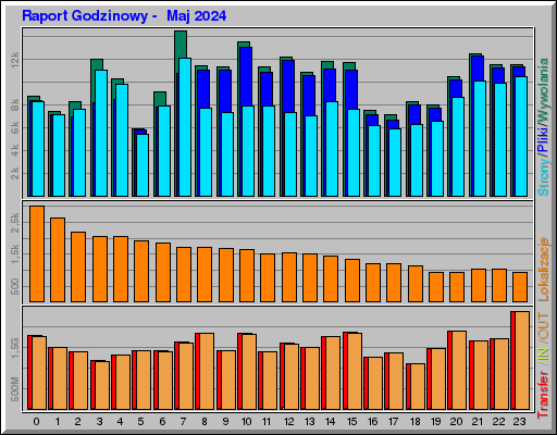 Raport Godzinowy -  Maj 2024