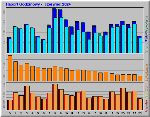 Raport Godzinowy -  czerwiec 2024