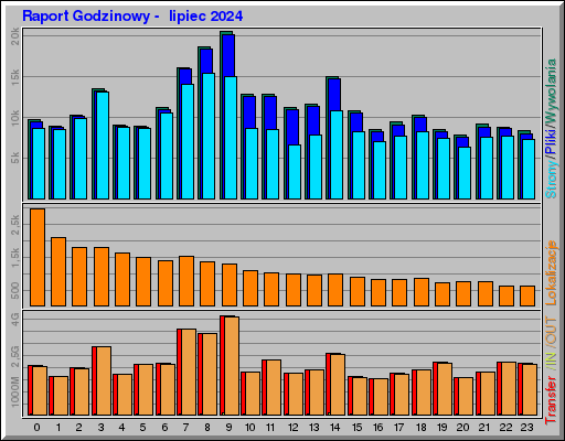 Raport Godzinowy -  lipiec 2024