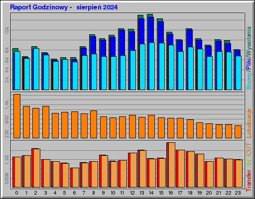 Raport Godzinowy -  sierpień 2024