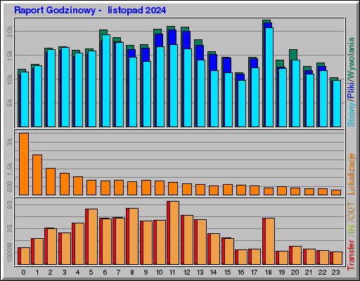 Raport Godzinowy -  listopad 2024